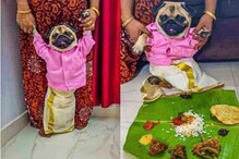 सोशल मीडियावर सुरू होता वधुचा शोध; काश्मीरमधून आलं स्थळ; PHOTO तर पाहा सोशल मीडियावर सुरू होता वधुचा शोध; काश्मीरमधून आलं स्थळ; PHOTO तर पाहा