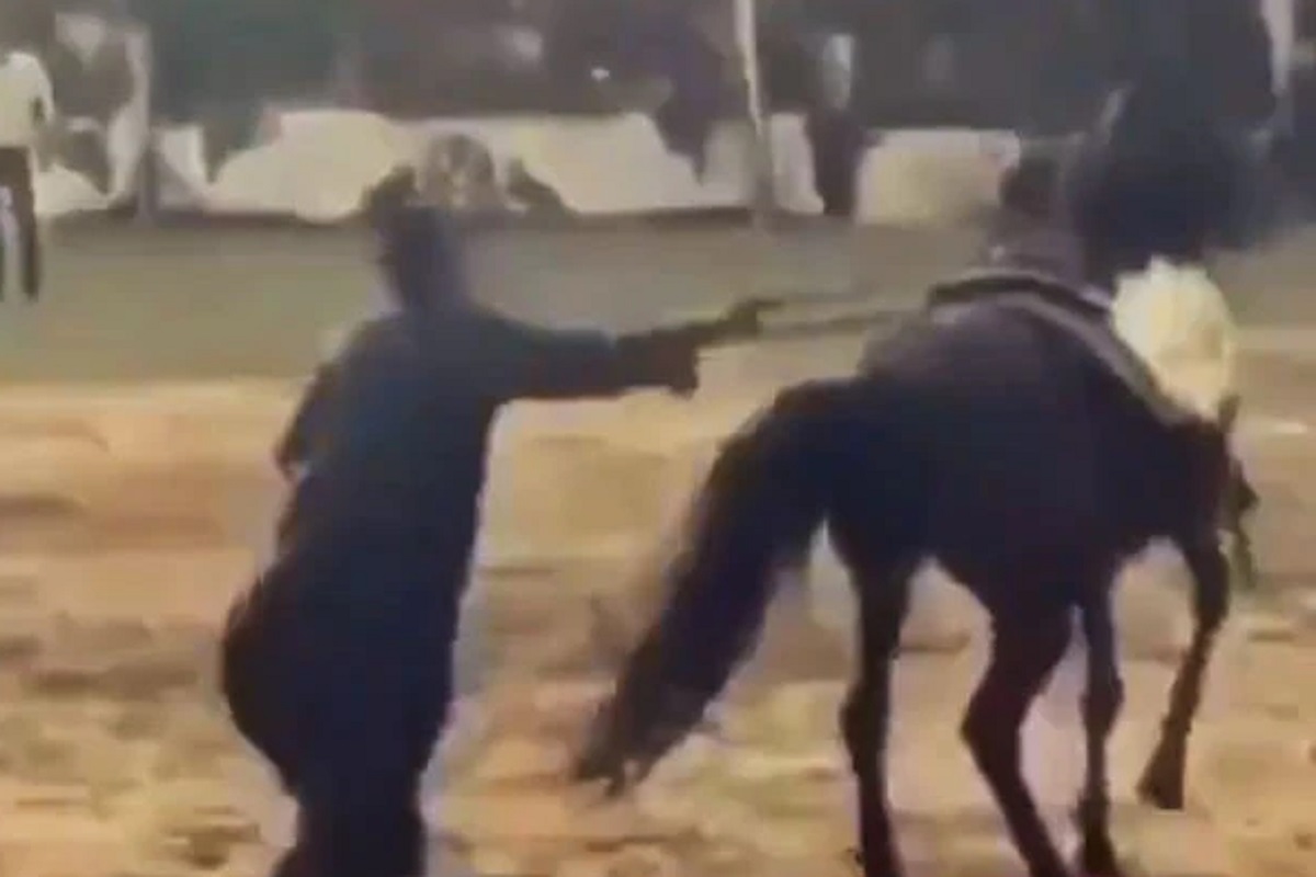 याला म्हणताच जशाच तसं! घोड्याला नाचवणाऱ्या मालकाचं काय झालं पाहा VIDEO