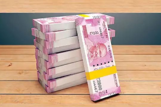 Small Investment Business: फक्त दहा हजारांत सुरू करा हा व्यवसाय; होईल मोठी कमाई