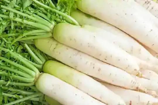 किडनीचे आजार दूर करण्यासाठी खायला हवा मुळा, जाणून घ्या 5 फायदे