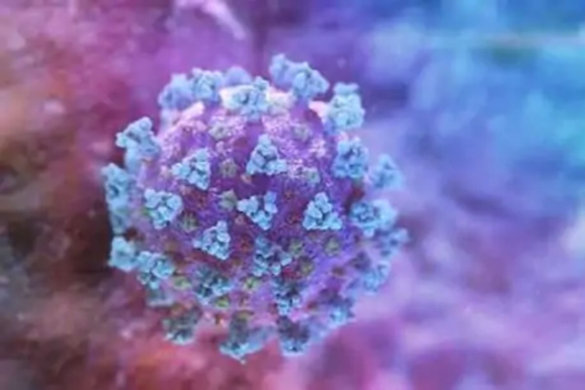 बापरे! कोरोनाबाबतची माहिती लपवल्यास 10 वर्षांचा तुरुंगवास