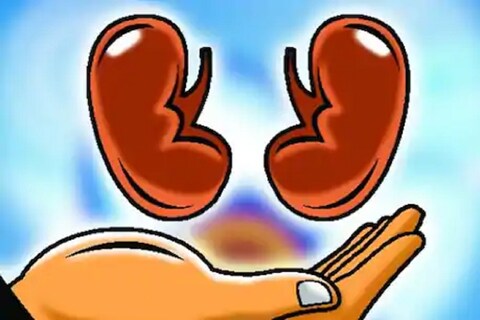 अवयवदान हेच श्रेष्ठ दान असं आजच्या काळात म्हटलं जातं. दिल्लीतल्या एका जोडप्यानं हा विचार जगत आदर्श उभा केला आहे. 