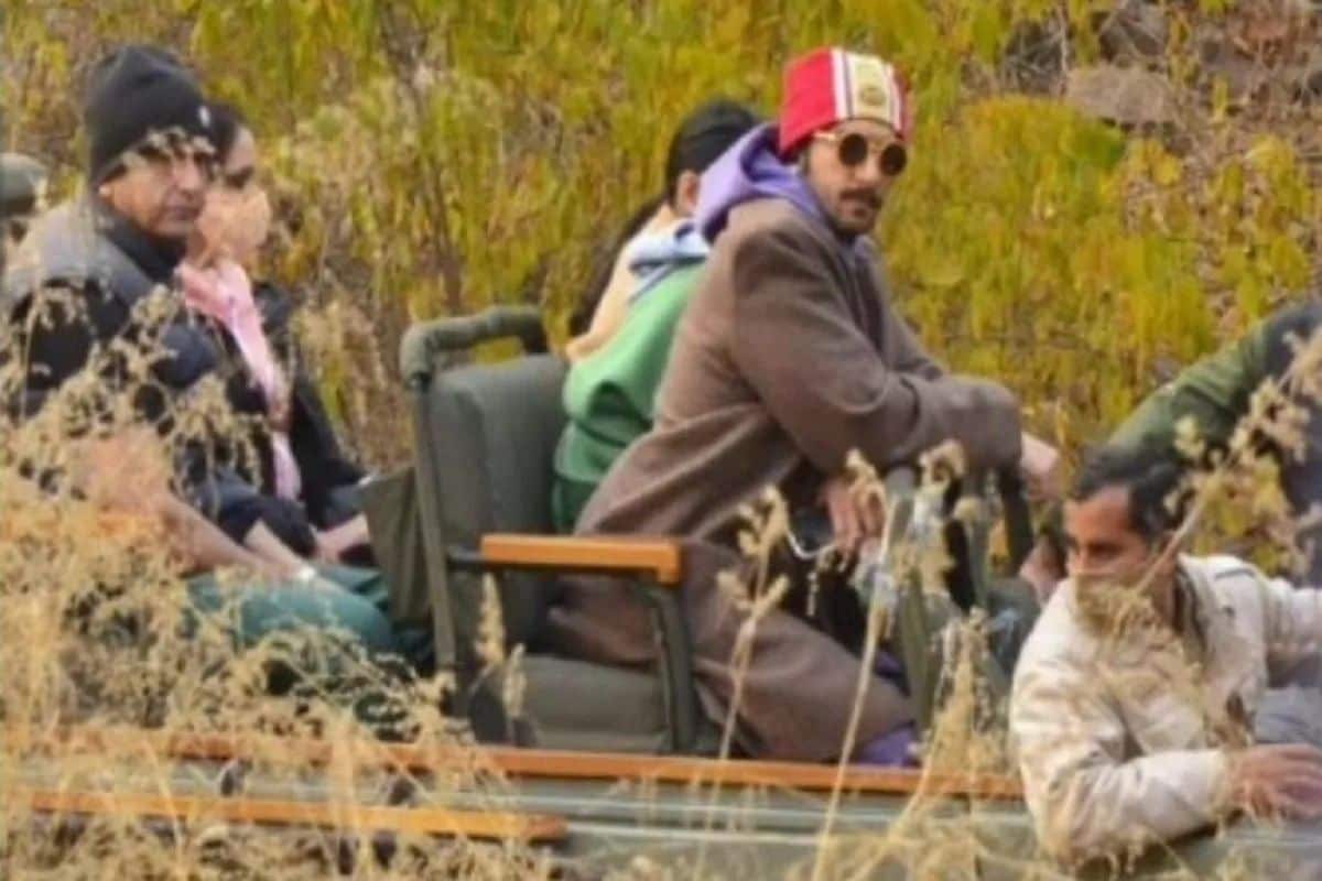सायंकाळच्या वेळी वाघ आणि वाघीनीच्या हालचाली जॉन 5 च्या नाल्यात होती. अशा परिस्थितीत वाघ आणि वाघिणी एका नाल्यात असल्यामुळं या या कलाकारांना वाघांचे दर्शन झालं नाही. तसेच वाघ पाहण्यासाठी पुढं जाणं त्यांना शक्य झालं नाही. (फोटो: व्हिडिओ ग्रॅब) सायंकाळच्या वेळी वाघ आणि वाघीनीच्या हालचाली जॉन 5 च्या नाल्यात होती. अशा परिस्थितीत वाघ आणि वाघिणी एका नाल्यात असल्यामुळं या या कलाकारांना वाघांचे दर्शन झालं नाही. तसेच वाघ पाहण्यासाठी पुढं जाणं त्यांना शक्य झालं नाही. (फोटो: व्हिडिओ ग्रॅब)