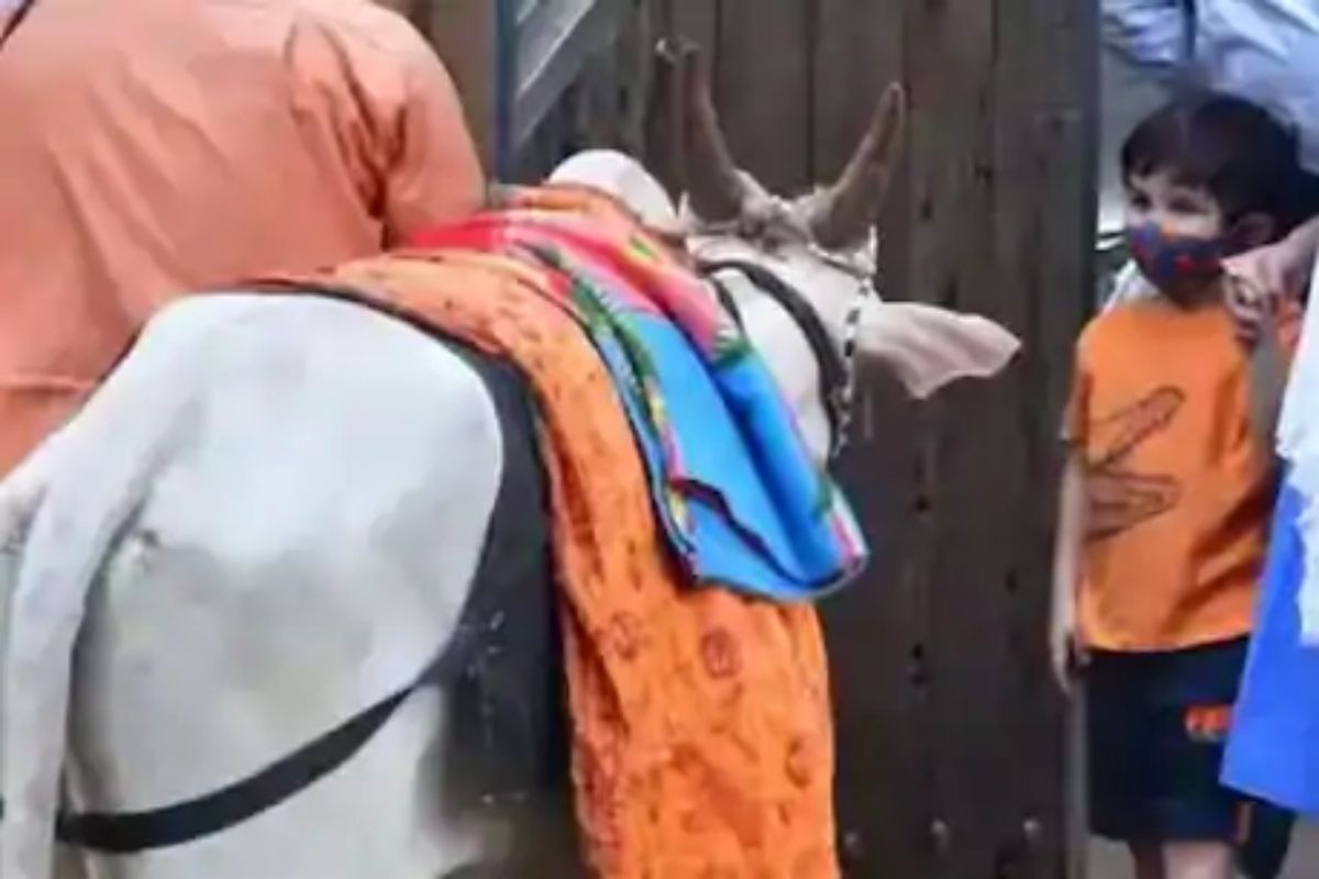 घरासमोर बाबांचं 'ओले ओले' गाणं ऐकून तैमूर झाला खूश; पाहा VIDEO मध्ये कशी दिली रिअॅक्शन