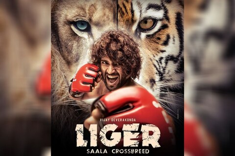 चित्रपट निर्माते आणि दिग्दर्शक करण जोहर (Karan johar) यांनी 'Liger saala crossbreed' या त्यांच्या आगामी चित्रपटाची घोषणा केली आहे. या चित्रपटात तेलगू अभिनेता (telugu actor) विजय देवराकोंडा (Vijay deverakonda) आणि अनन्या पांडे मुख्य भुमिकेत दिसणार आहेत. 