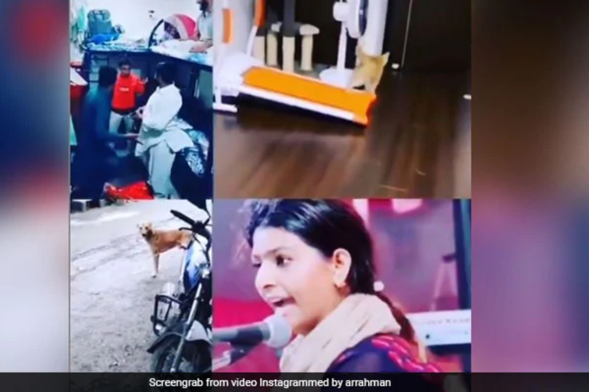 गायिकेने असा छेडला सूर, कुत्रा-मांजरांपासून माणसांची झाली अशी अवस्था; रेहमानने शेअर केला मजेशीर VIDEO
