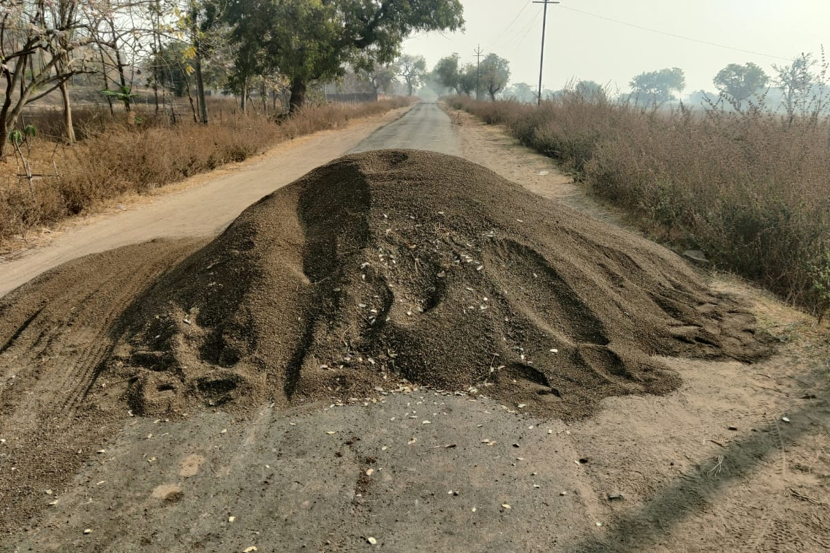 नायब तहसीलदार आणि तलाठ्यावर वाळू माफियाचा चाकू हल्ला, यवतमाळमधील घटना