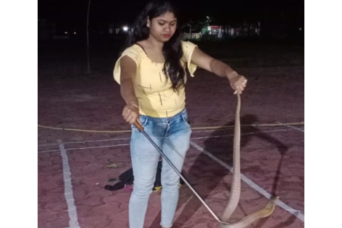 हा साप सुमारे 4 फूट लांबीचा होता. या सापाला 'रेप्टाइल केयर अँन्ड रेस्क्यूअर सोसायटी' च्या टीमने काळजीपूर्वक रेस्क्यु केलं आहे. त्यानंतर त्यांनी शाळेच्या परिसरात जमलेल्या लोकांना या सापाची सर्व माहिती दिली. हा स्पेक्टिकल कोब्रा असून हा पृथ्वीवरील सर्वात विषारी प्रजातीपैकी एक आहे. हा साप सुमारे 4 फूट लांबीचा होता. या सापाला 'रेप्टाइल केयर अँन्ड रेस्क्यूअर सोसायटी' च्या टीमने काळजीपूर्वक रेस्क्यु केलं आहे. त्यानंतर त्यांनी शाळेच्या परिसरात जमलेल्या लोकांना या सापाची सर्व माहिती दिली. हा स्पेक्टिकल कोब्रा असून हा पृथ्वीवरील सर्वात विषारी प्रजातीपैकी एक आहे.