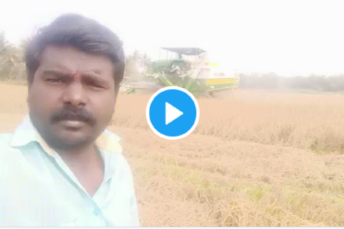 VIDEO: याला म्हणतात Real Hero; चिमणीचं घरटं वाचवण्यासाठी शेतकऱ्यानं सोडलं स्वत:चं शेत