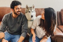 हा आहे शनायाचा रिअल लाईफ गुरुनाथ; कशी पडली NRI तरुणाच्या प्रेमात?