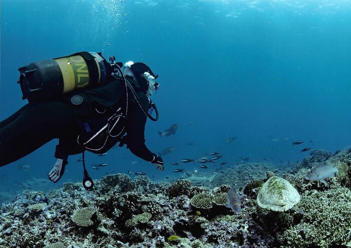 मनस्वी अभिनयासोबतच सोशल मीडियावर देखील प्रचंड चर्चेत असते. (फोटो सौजन्य इन्स्टाग्राम)