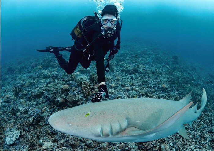 तिचे ग्लॅमरस फोटो आणि व्हिडीओज सोशल मीडियावर नेहमीच चर्चेत असतात. (फोटो सौजन्य इन्स्टाग्राम)