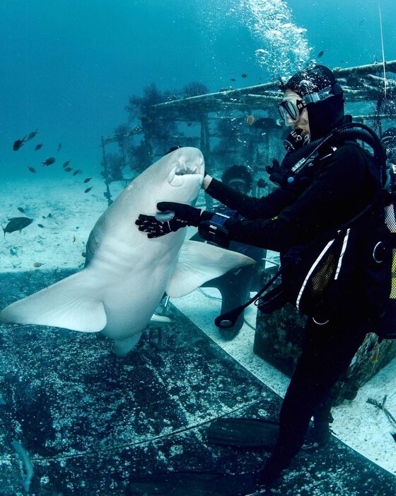 तिनं हे अंडरवॉटर फोटोशूट केलं आहे. (फोटो सौजन्य इन्स्टाग्राम)