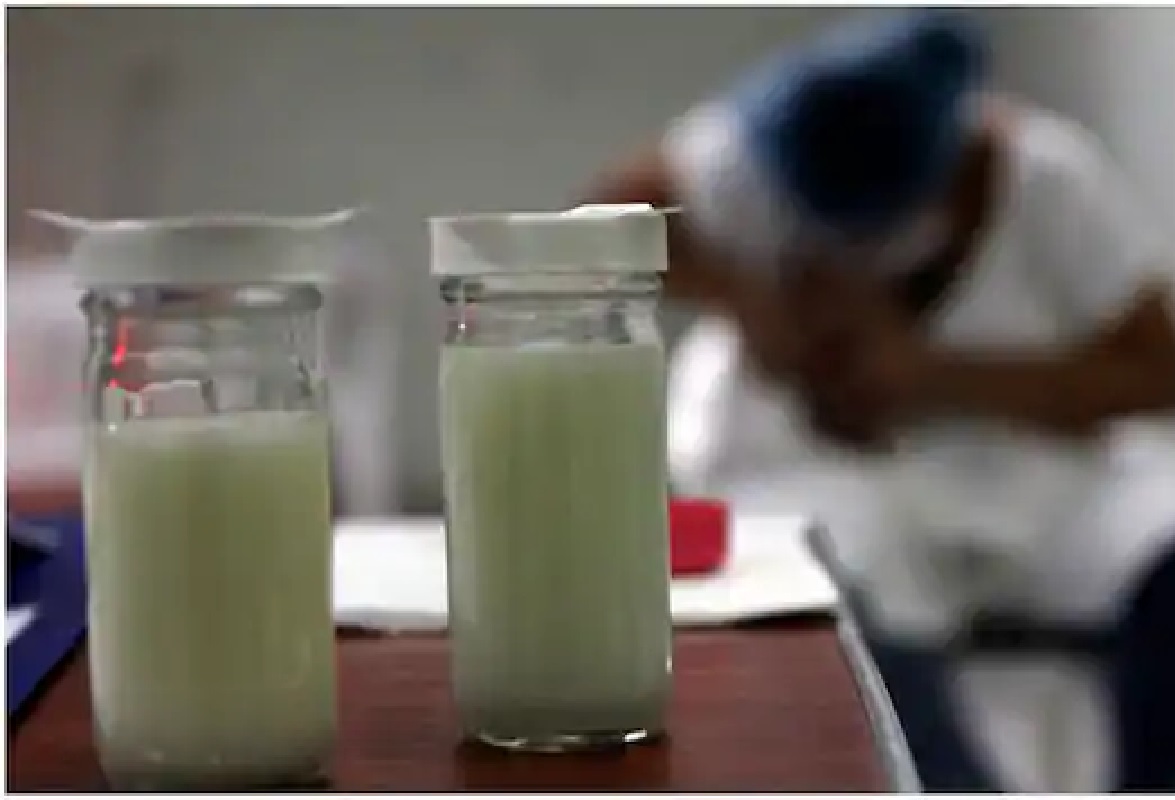 डाबेटीज पेशंटला कच्च दुध पिण्याचा सल्ला दिला जातो. त्यात पामिटोलिक ऍसिड असतं. ज्यामुळे इन्सुलिन व्यवस्थित काम करतं.