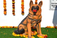 कर्तव्यदक्ष टिंकीसाठी पोलिसांकडून अनोखी आदरांजली; गुन्हेगारांमध्ये होती दहशत