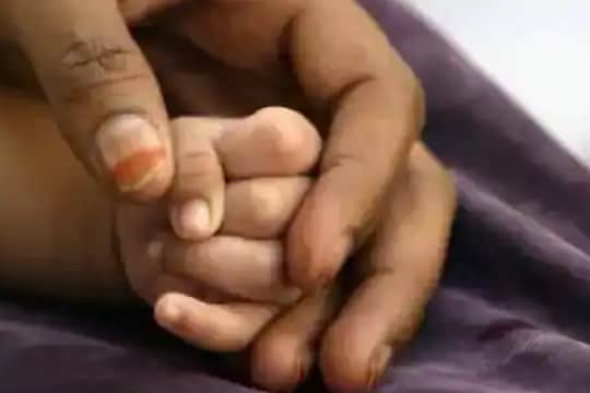 8 दिवसांच्या जुळ्या बहिणींना माकडांनी उचलून नेलं; नाल्यात फेकल्याने एकीचा दुर्देवी मृत्यू