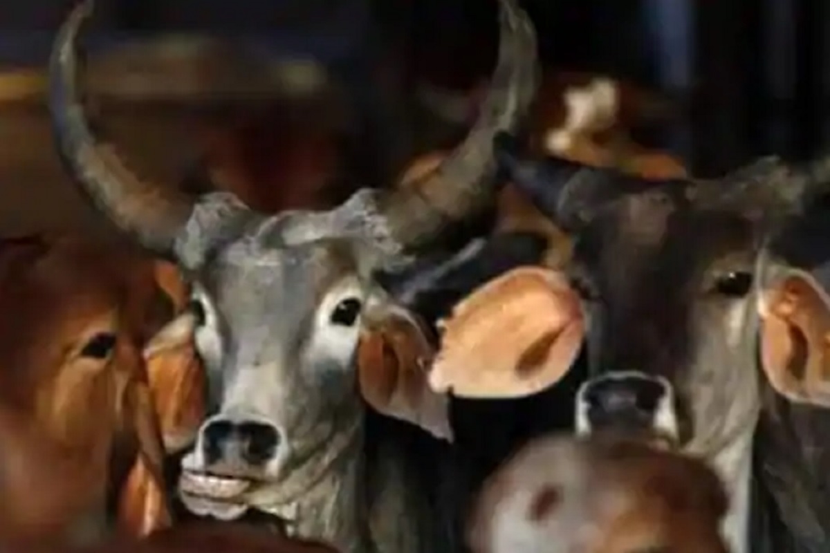 प्रतिकात्मक छायाचित्र