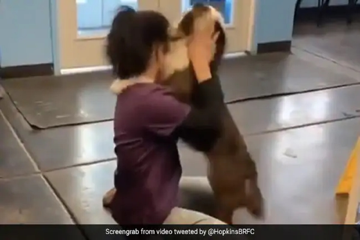 मालकीणीला पाहून कुत्रा झाला भलताच इमोशनल, पाहा त्यांच्या प्रेमाचा हा व्हायरल Video