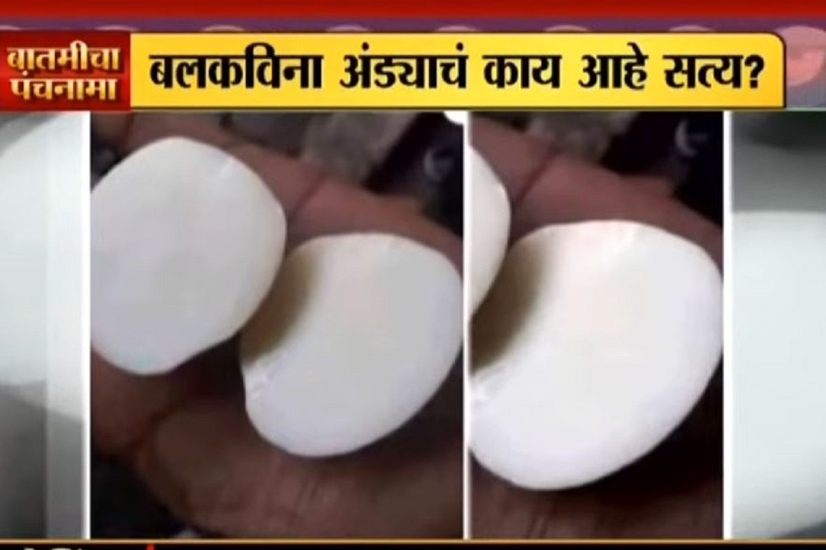 VIDEO: बलकाविना अंडं? काय आहे सत्य?