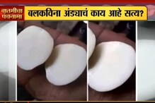 VIDEO: बलकाविना अंडं? काय आहे सत्य? VIDEO: बलकाविना अंडं? काय आहे सत्य?