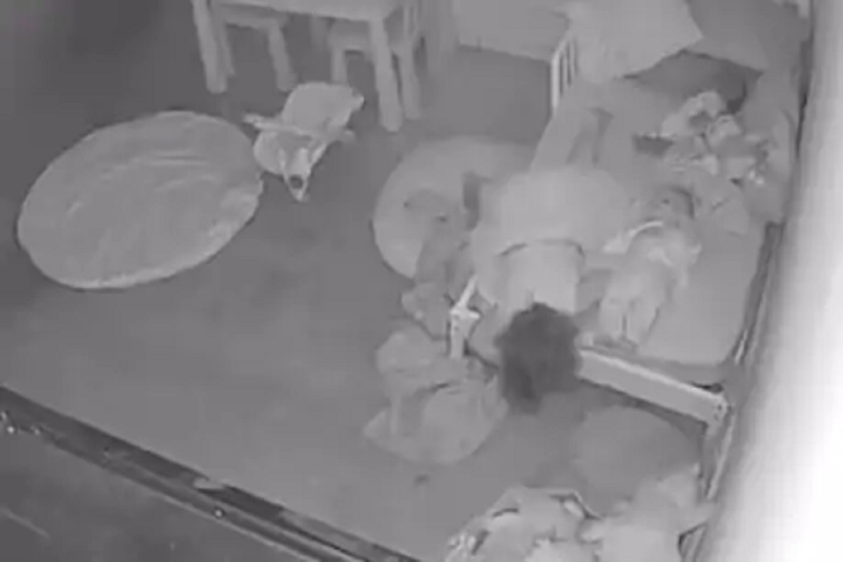 भूत की आणखी काही? चिमुरडीचा हा VIDEO पाहून तुम्हाला दरदरून फुटेल घाम