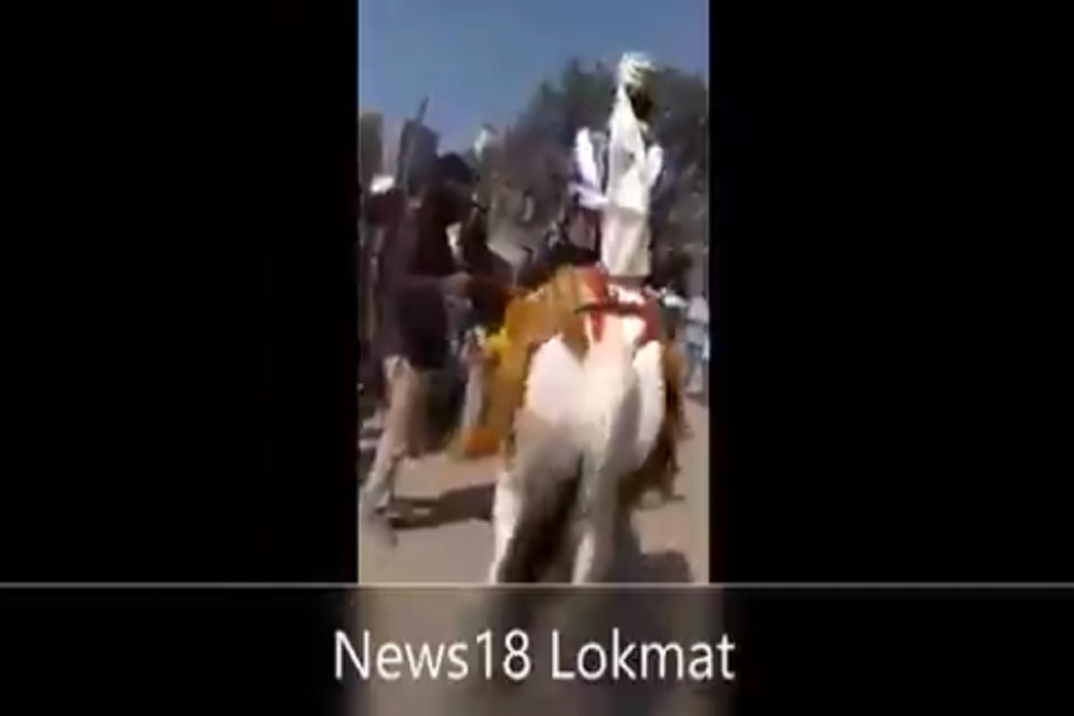 घोड्यामुळे नवरदेवाला पळता भुई झाली थोडी, लग्नादिवशीच जखमी झाला तरुण; पाहा VIDEO