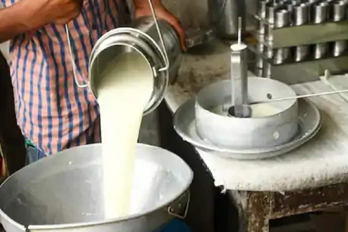 दुध प्यायल्यानंतर चुकूनही दही खाऊ नये. दुधावरील ऍसिडीक प्रक्रीयेन दही बनतं. त्यामुळे एकाचवेळी खाल्याने पोटाला पचण्यास जड ठरतं. यानेही पोटाच्या समस्या होऊ शकतात. दुध प्यायल्यानंतर चुकूनही दही खाऊ नये. दुधावरील ऍसिडीक प्रक्रीयेन दही बनतं. त्यामुळे एकाचवेळी खाल्याने पोटाला पचण्यास जड ठरतं. यानेही पोटाच्या समस्या होऊ शकतात.