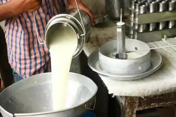 दुध प्यायल्यानंतर चुकूनही दही खाऊ नये. दुधावरील ऍसिडीक प्रक्रीयेन दही बनतं. त्यामुळे एकाचवेळी खाल्याने पोटाला पचण्यास जड ठरतं. यानेही पोटाच्या समस्या होऊ शकतात. 