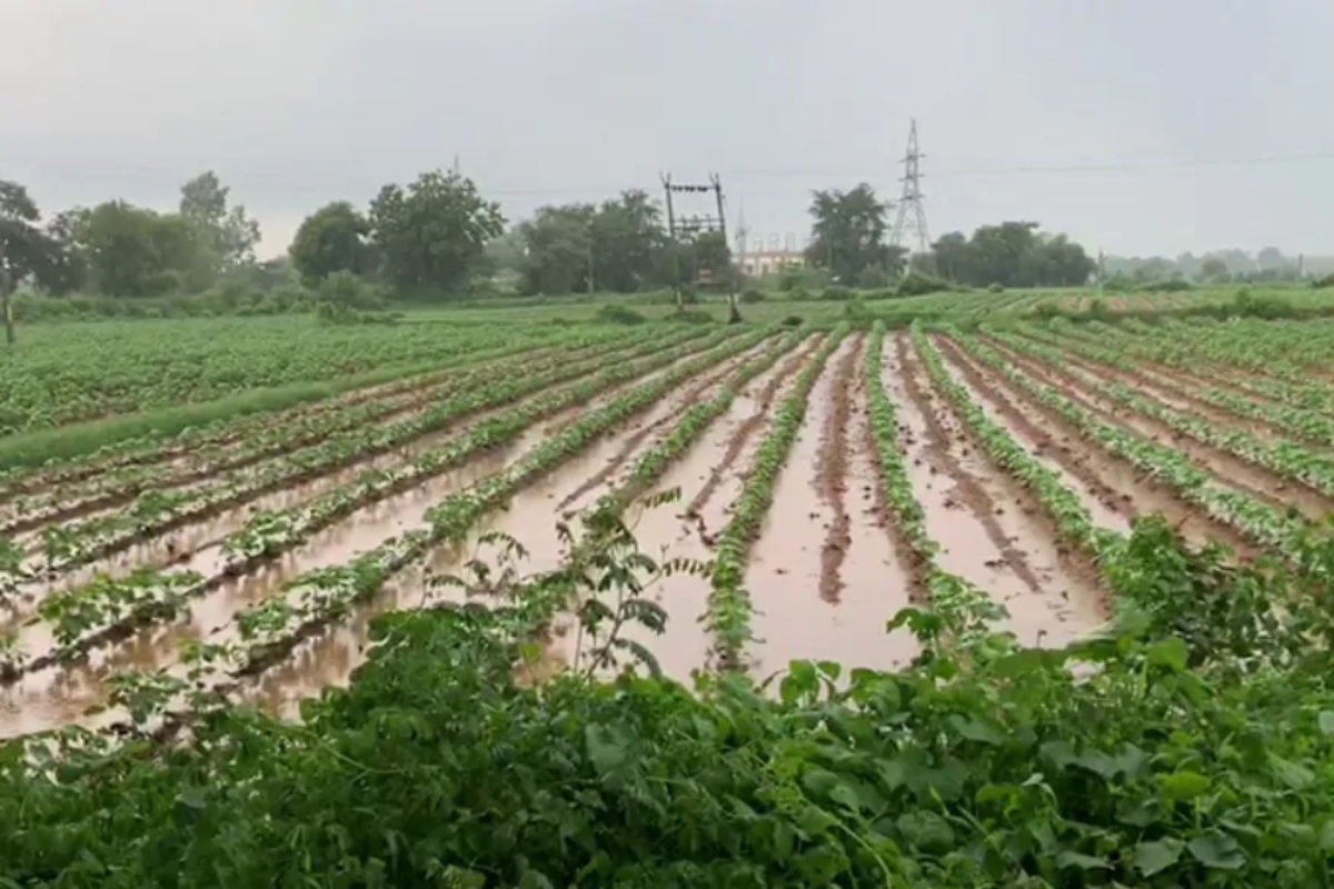 कुठे अवकाळी तर कुठे गारपीट, शेतकऱ्याचं अक्षरशः कंबरड मोडलं