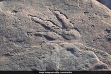 चिमुरडीला समुद्रकिनारी दिसली तब्बल 220 मिलियन वर्ष जुनी गोष्ट; शास्त्रज्ञही चकीत चिमुरडीला समुद्रकिनारी दिसली तब्बल 220 मिलियन वर्ष जुनी गोष्ट; शास्त्रज्ञही चकीत