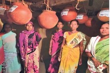 राहीबाईंच्या पावलावर पाऊल, या दुर्गम भागातील महिला करताहेत देशी वाणांचं जतन राहीबाईंच्या पावलावर पाऊल, या दुर्गम भागातील महिला करताहेत देशी वाणांचं जतन