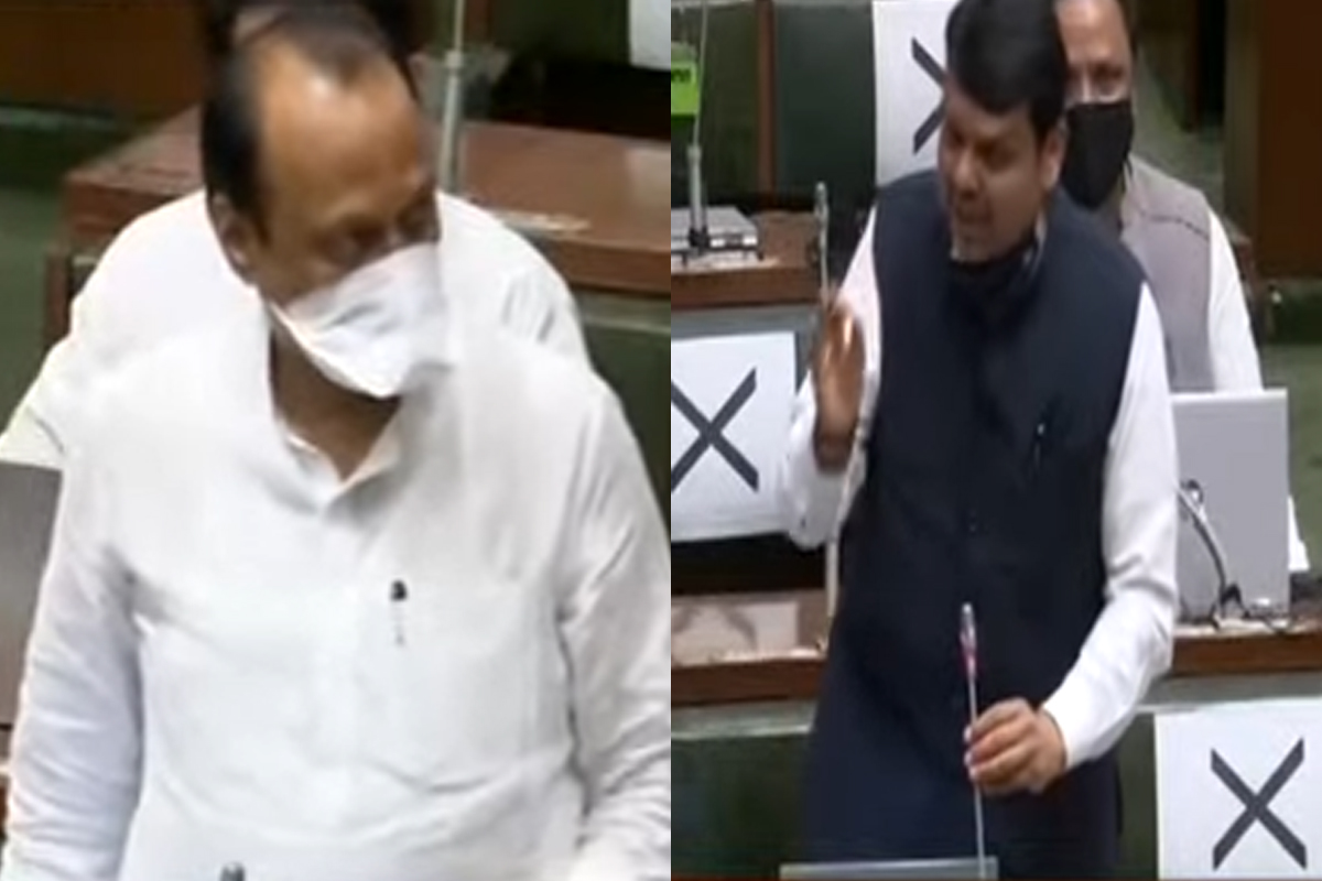 अजित पवारांचा दणका, फडणवीस सरकारच्या वृक्ष लागवड मोहिमेच्या चौकशीची घोषणा