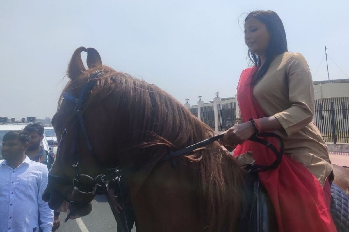 कॉंग्रेसच्या आमदार अंबा प्रसाद यांना त्यांच्या विविध सामाजिक कामांसाठी अर्जुन पुरस्काराने सन्मानित केलेल्या सेवानिवृत्त कर्नल रवि राठोड यांनी अनोखं गिफ्ट दिलं आहे. त्यांनी आमदार अंबा प्रसाद यांना एक घोडा गिफ्ट केला आहे. याच घोड्यावर स्वार होऊन अंबा प्रसाद विधानसभेत आल्या आहेत. कॉंग्रेसच्या आमदार अंबा प्रसाद यांना त्यांच्या विविध सामाजिक कामांसाठी अर्जुन पुरस्काराने सन्मानित केलेल्या सेवानिवृत्त कर्नल रवि राठोड यांनी अनोखं गिफ्ट दिलं आहे. त्यांनी आमदार अंबा प्रसाद यांना एक घोडा गिफ्ट केला आहे. याच घोड्यावर स्वार होऊन अंबा प्रसाद विधानसभेत आल्या आहेत.