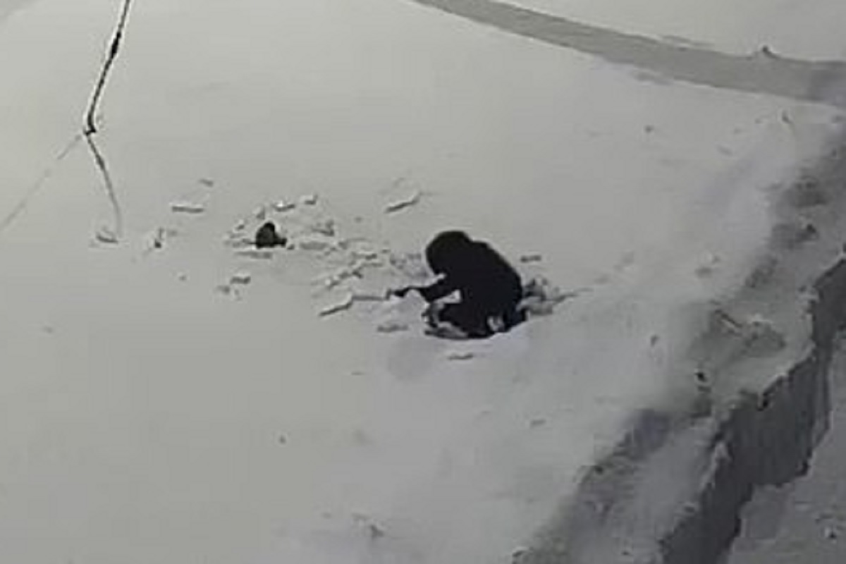 12 व्या मजल्यावरून कोसळला आणि स्वत:च उठून बसला 5 वर्षांचा चिमुरडा...; Shocking video viral