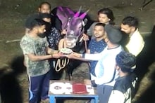 VIDEO:ठाण्यात बैलाचा वाढदिवस करताना कोरोना नियमांचं उल्लंघन, मालकावर गुन्हा दाखल