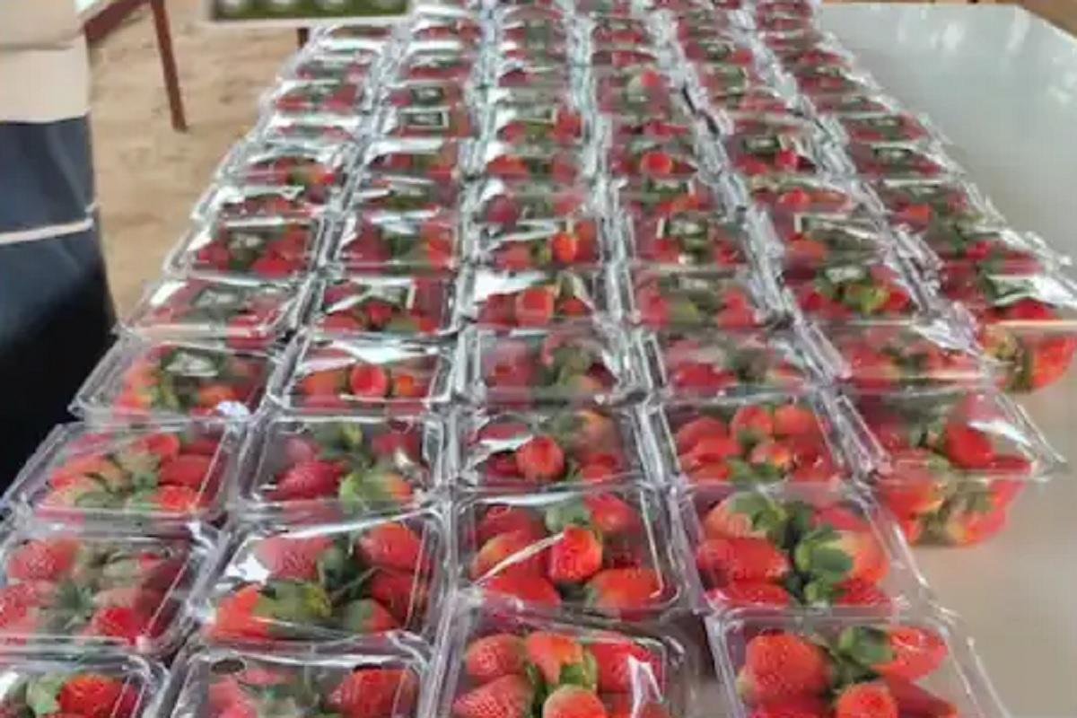 या व्यवसायात पहिल्या महिन्यापासूनच होईल बक्कळ कमाई; सरकारकडूनही मिळेल मदत