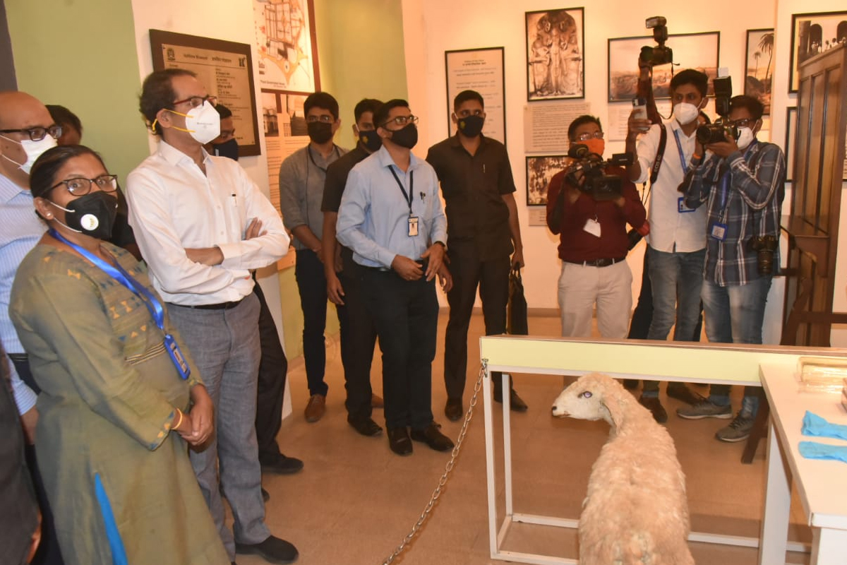 मुंबईतच तयार होणार कोरोना लस, मुख्यमंत्र्यांकडून 'हाफकिन'ला महत्त्वाची सूचना