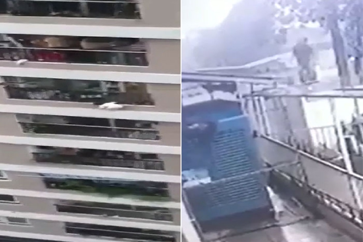 बापरे! 12 व्या मजल्यावरून कोसळली 2 वर्षांची चिमुकली; सुपरहिरोसारखं डिलीव्हरी बॉयनं केलं कॅच; पाहा VIDEO