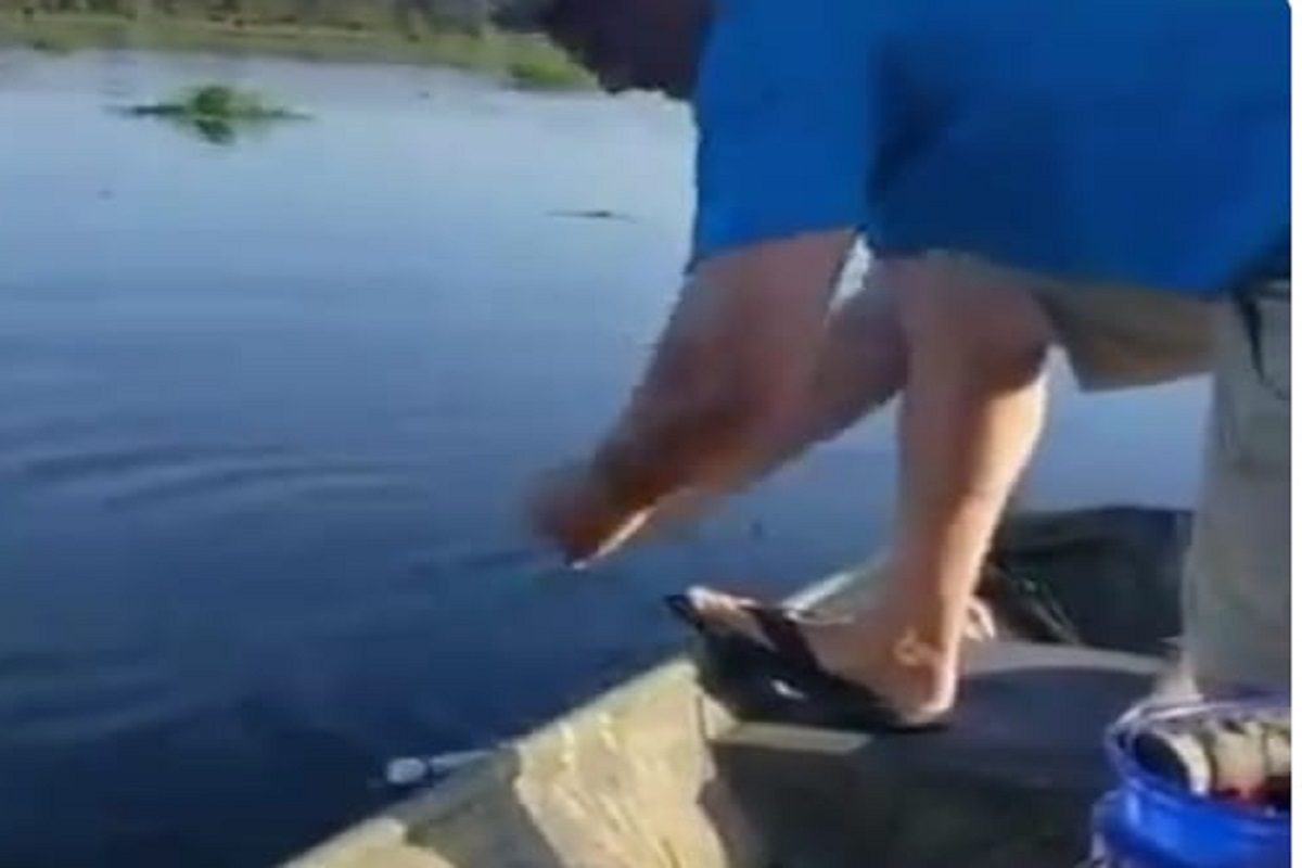 म्हावरा पकडायला गेला आणि जाळ्यात गावलं भलतंच... पाहून तुम्हालाही फुटेल घाम