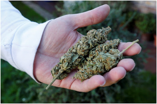 लॉकडाऊनमध्ये गेली नोकरी, पैशासाठी इंजिनिअर बनला तस्कर; भाजी विक्रीआड विकायचा गांजा