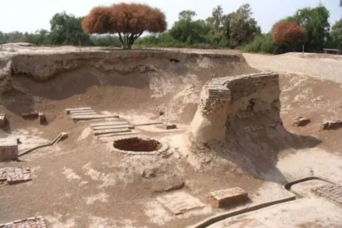 हडप्पा संस्कृतीपासून मल्टिग्रेन लाडूंचा इतिहास; भारतात उत्खननादरम्यान सापडले महत्त्वपूर्ण पुरावे