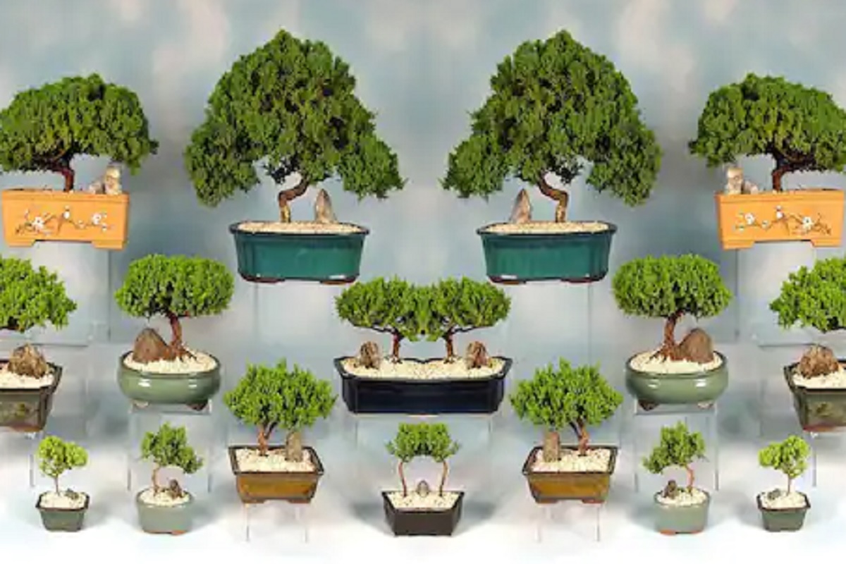 केवळ 20 हजार रुपयांत सुरू करा हा व्यवसाय; महिन्याला होईल बक्कळ कमाई