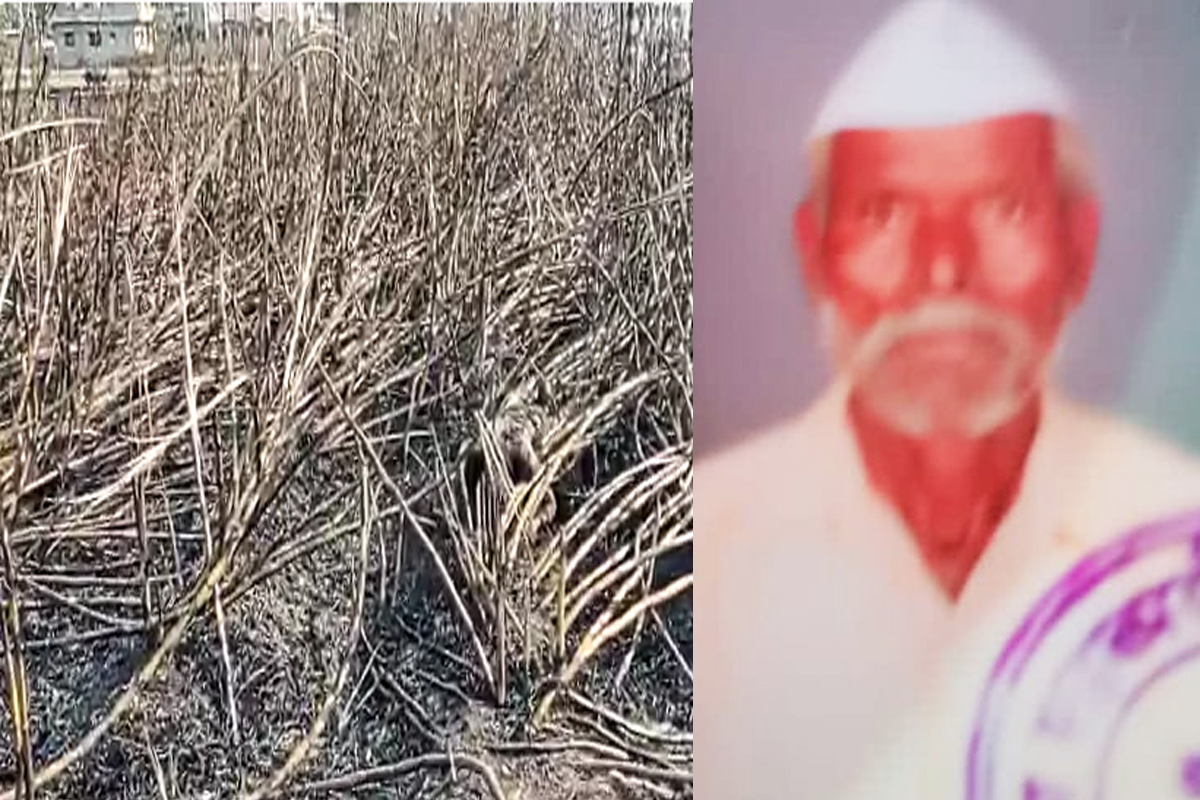 आग लागलेल्या उसाच्या फडात शेळ्यांना वाचवायला गेले, पण परत आलेच नाही!