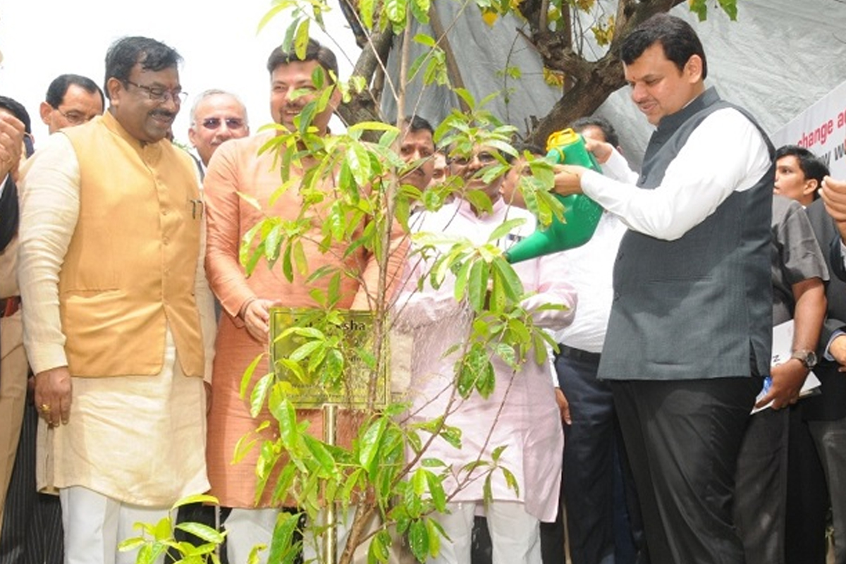 भाजपला हादरा, फडणवीस सरकारच्या काळात वृक्ष लागवड मोहिमेबद्दल चौकशी बैठक