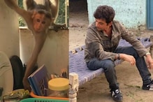 सुनिल ग्रोवरच्या घरात माकडाने केली चोरी; असा लांबवला दह्याचा डब्बा, पाहा VIDEO