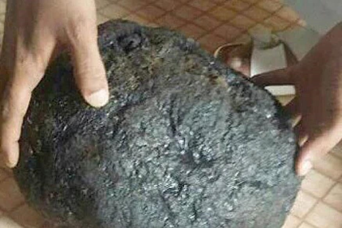 Whale Vomit: उलटीलाही कोट्यवधींची किंमत, तज्ज्ञ म्हणतात हे तरंगणारं सोनं!