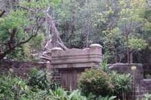 या धर्मात अंत्यविधीनंतर गिधाडांना खायला ठेवतात मृतदेह; पाहा काही थरारक प्रथा