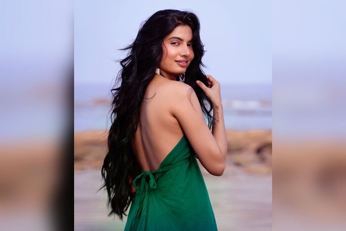 अवनीनं बॉलीवूड बरोबरच काही तमिळ चित्रपटांतसुद्धा काम केलं आहे. 