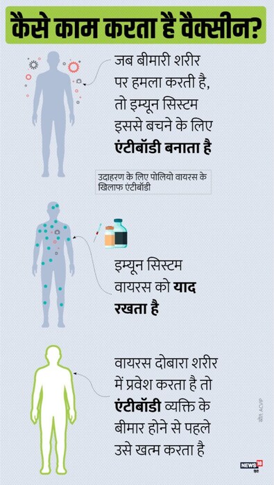 तिसऱ्या प्रकारच्या लसीमध्ये जिवंत विषाणूंचा समावेश असतो, जो रोगास कारणीभूत असलेल्या विषाणूशी संबंधित आहे पण, तेच विषाणू शरीरातल्या सैन्याप्रमाणे, बाहेरून आक्रमण करणाऱ्या व्हायरसवर हल्ला करतात.