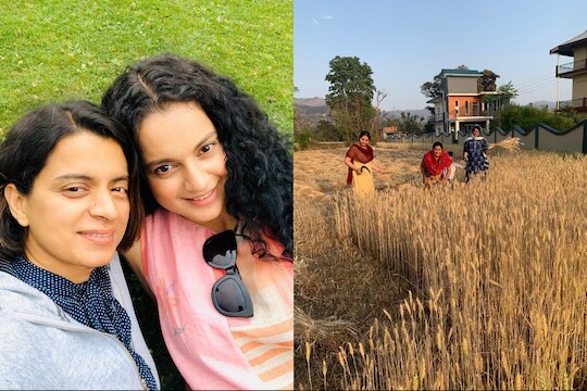 कंगनाची बहिण रंगोली करतेय शेती, PHOTO सोशल मीडियावर व्हायरल